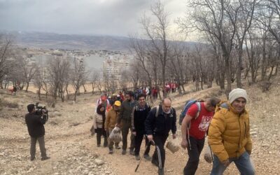 کوهنوردان یاسوجی ۲۰ هکتار درخت کاشتند