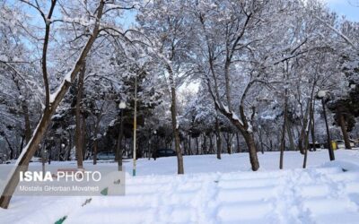 تجربه دمای زیر صفر در بیشتر نقاط استان تهران
