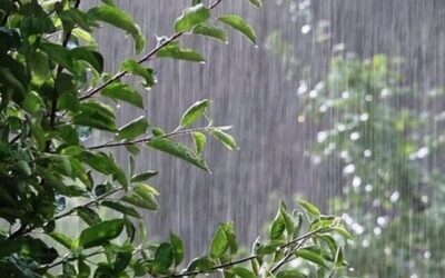 احتمال بارش‌های پراکنده و رگبار خفیف باران در همدان