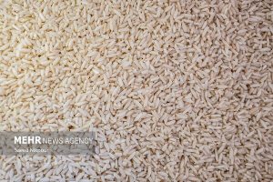 ۲۰۰ کیلوگرم برنج سرقتی در مانه و سملقان کشف شد