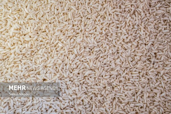 ۲۰۰ کیلوگرم برنج سرقتی در مانه و سملقان کشف شد