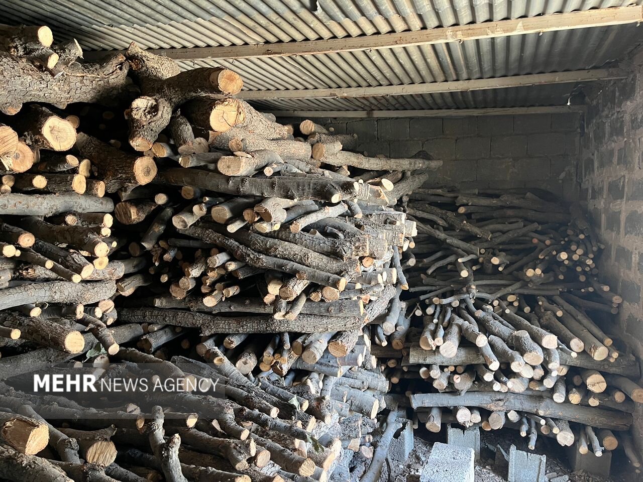 کشف هیزم جنگلی در میاندرود