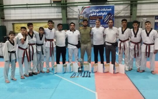 درخشش تکواندوکاران نونهال اردبیل در مسابقات منطقه ای