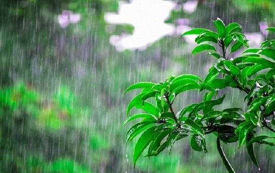 زنجان از شنبه بارانی می‌شود؛ پیش‌بینی رگبار، رعدوبرق و وزش باد شدید